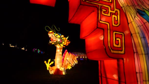 Китайский символ дракона из рисовой бумаги с огнями внутри — стоковое видео