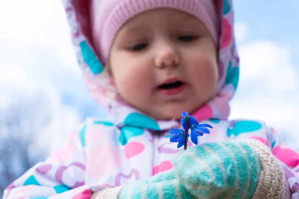 Detailní záběr na zasněžené květiny v ruce malé holčičky — Stock fotografie