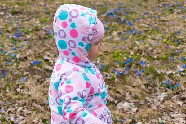 Маленькая девочка в поле подснежников — стоковое фото