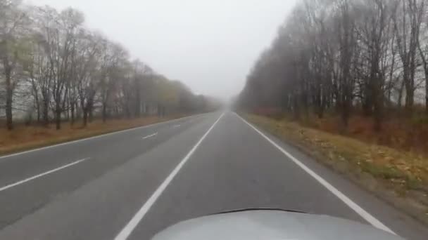 Pov gran angular placa de conducción disparada en la niebla — Vídeos de Stock
