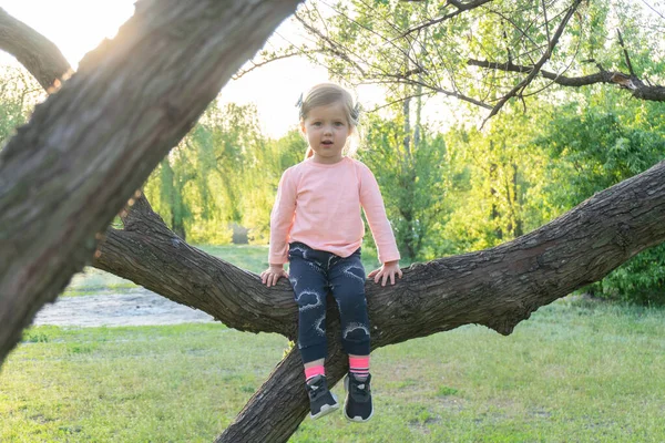 Dolce bambina seduta sul ramo — Foto Stock