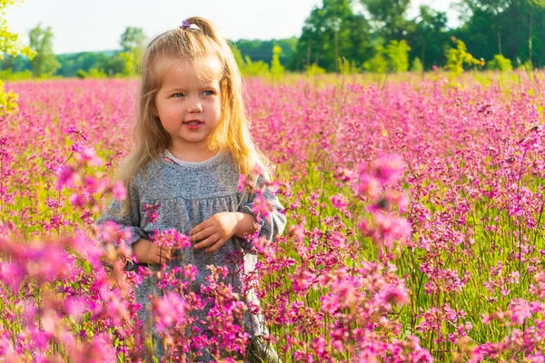 Menina de pé no campo de flores cor de rosa — Fotografia de Stock