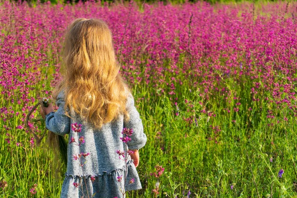 Garotinha de pé no campo das flores rosa — Fotografia de Stock