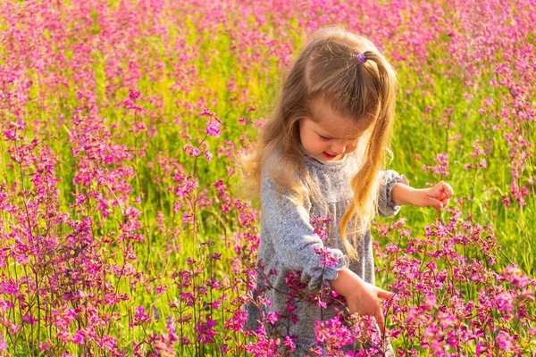 Κοριτσάκι που διασκεδάζει στον τομέα των ροζ λουλουδιών — Φωτογραφία Αρχείου