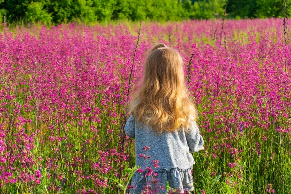 Back of little girl kid walking in the field — Stock Photo, Image