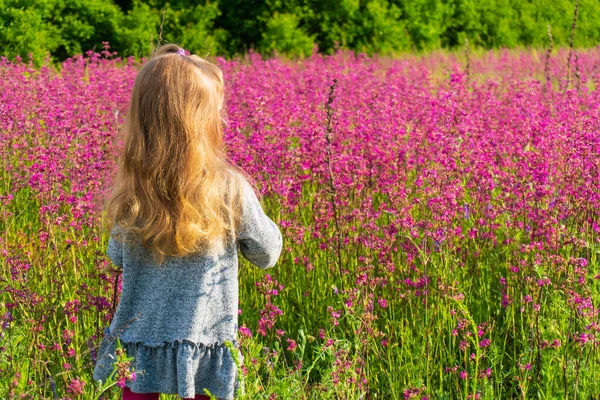 Ragazzina con i capelli lunghi guardando sul campo estivo — Foto Stock