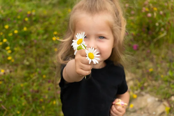 Retrato de menina segurando flores de camomila na mão — Fotografia de Stock
