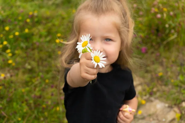 手里拿着洋甘菊花的小女孩的画像 — 图库照片