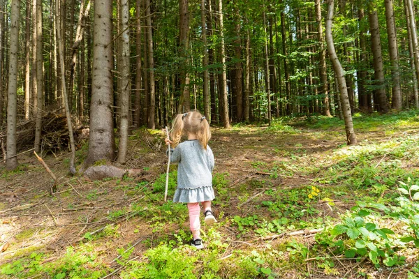 Menina pequena andando sozinha no pinheiro — Fotografia de Stock