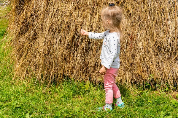 Menina tocando palheiro na fazenda no verão — Fotografia de Stock