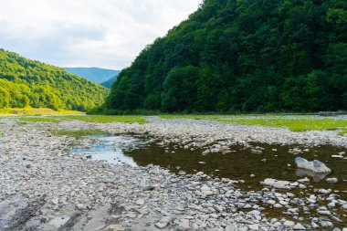 Tepenin yakınındaki vahşi dağ nehri ve arkasında orman
