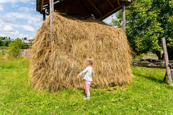 Liten flicka nära höstack på gården — Stockfoto