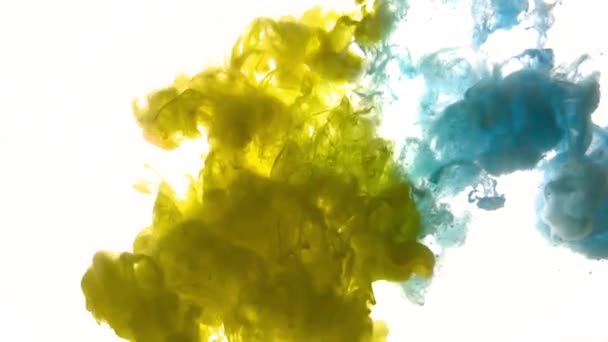 Yellow and blue acrylic paint or ink in the water — Stock Video