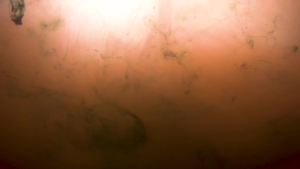 Dunkelorangefarbener Unterwasserhintergrund mit fallenden Tropfen schwarzer Tinte — Stockvideo