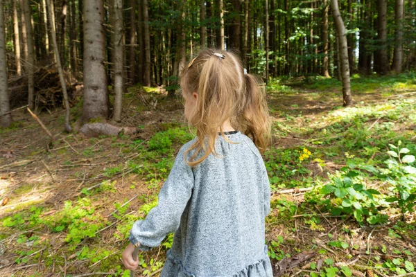 Menina pequena andando na floresta de pinheiros — Fotografia de Stock