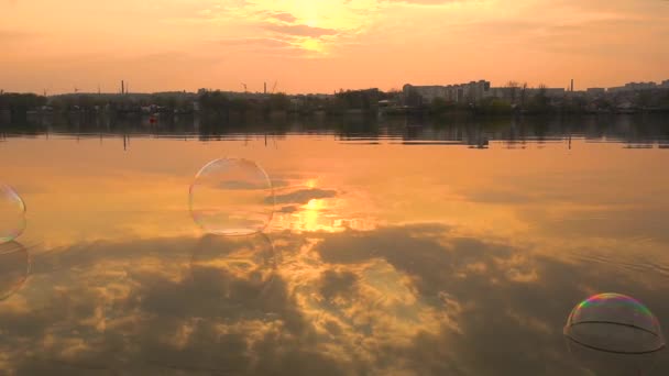 Burbujas de jabón saltando sobre el agua del río en la ciudad — Vídeo de stock