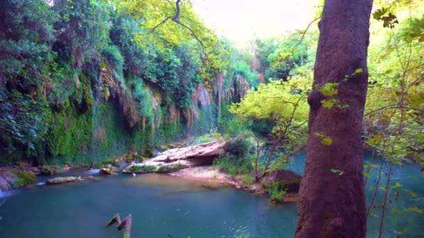 Vista da incrível lagoa irreal com natureza colorida ao redor — Vídeo de Stock