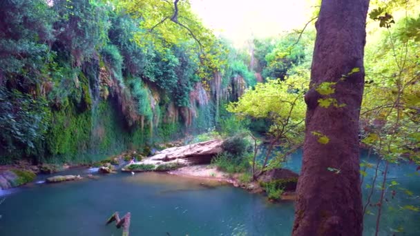 View of amazing unreal pond with colorful nature around — Stock Video