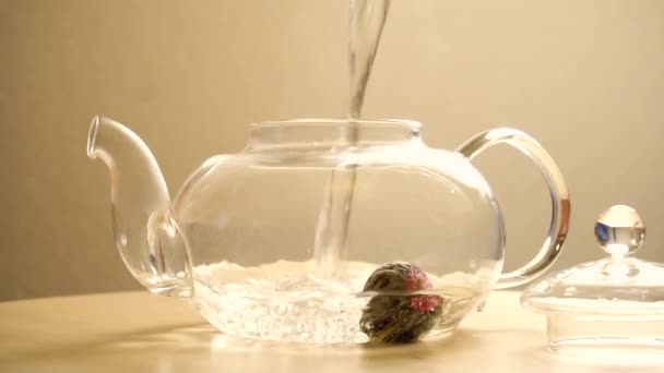 Ensemble de séquences avec thé vert brassage rapide 