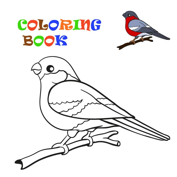 Libro para colorear, pinzón pájaro — Vector de stock