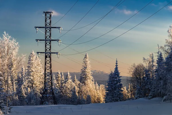 Foto Uma Paisagem Floresta Inverno — Fotografia de Stock