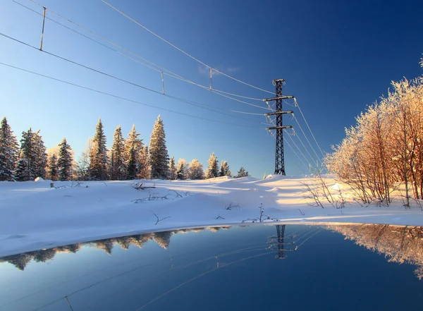 Photo Winter Forest Landscape — Stock Photo, Image