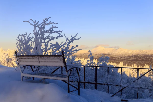 Photo Winter Forest Landscape — Stock Photo, Image