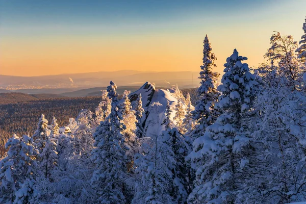 Foto Uma Paisagem Floresta Inverno — Fotografia de Stock