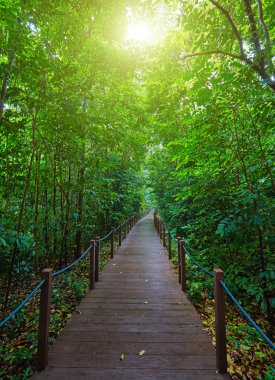 Boardwalk Singapur yeşil park