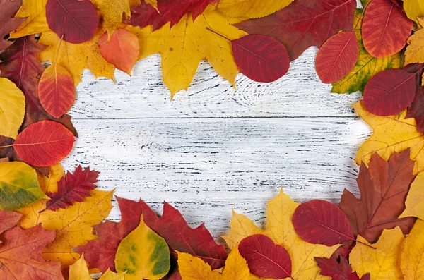 Herfstbladeren op witte houten achtergrond. — Stockfoto