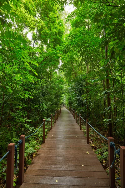 Walking path in summer park — Stock Photo, Image