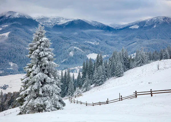 Concepto de invierno. Árboles nevados y montañas nevadas — Foto de Stock
