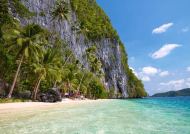 Güzel ada. Mavi koy ve palmiye ağaçları.