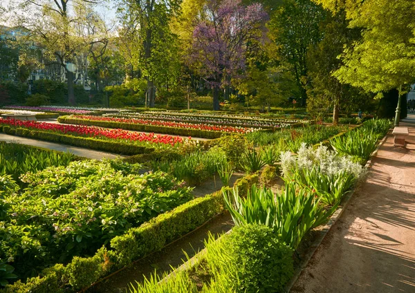 Madrid-botanikus kert - igazi Jardin Botanico. — Stock Fotó