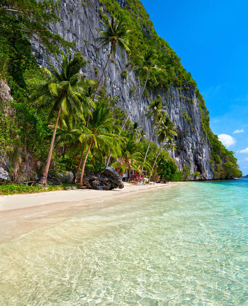 Beautiful island. Blue bay and palm trees.