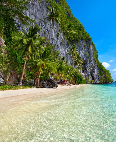 Hermosa isla. Bahía azul y palmeras . Imagen De Stock