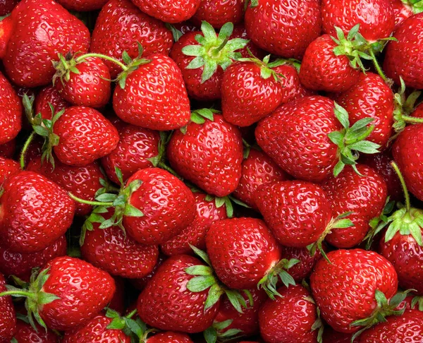 Strawberry bakgrund. Röda mogna ekologiska jordgubbar — Stockfoto