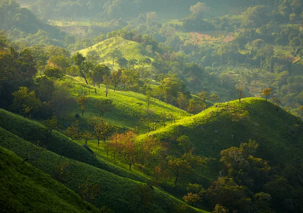 아침 빛에 스리랑카 풍경 자연 배경 스톡 사진