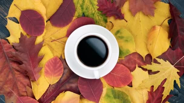 Concepto de otoño. Taza de café y hojas de otoño sobre fondo de madera oscura. UHD, 4K — Vídeo de stock