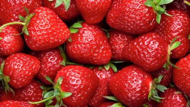 Fondo de fresa. Fresas orgánicas maduras rojas en el mostrador del mercado. UHD, 4K — Vídeo de stock