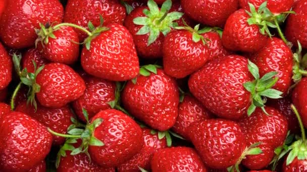 Fondo de fresa. Fresas orgánicas maduras rojas en el mostrador del mercado. UHD, 4K — Vídeos de Stock