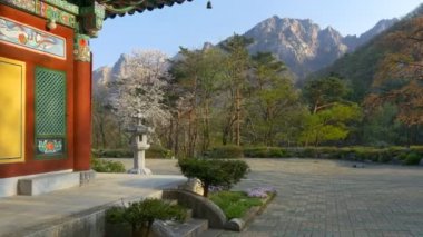 Bahar Seoraksan Milli Parkı, Güney Kore. Sürgülü atış