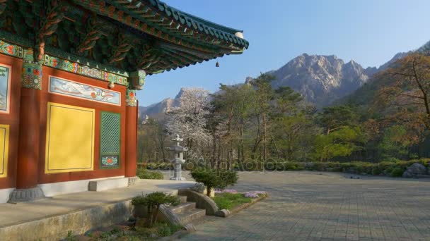 Primavera en el Parque Nacional Seoraksan, Corea del Sur . — Vídeos de Stock