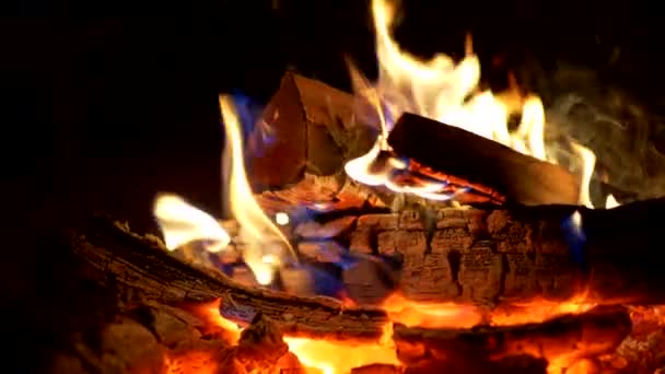 Madera ardiendo en el fuego de la hoguera. Llamas amarillas y azules en movimiento. Disparo en cámara lenta — Vídeos de Stock