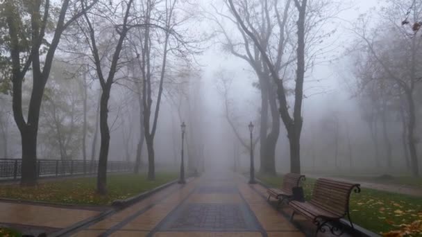 Walking in foggy city park in autumn by benches and trees. 4K — Stock Video