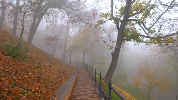 Kamera bewegt sich die Treppe hinunter in geheimnisvollen herbstlichen nebligen Park zwischen abgefallenen Blättern. uhd — Stockvideo