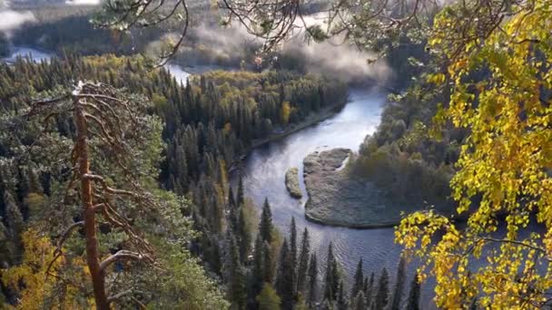 Oulanka Ulusal Parkı, Finlandiya. Sonbaharda gündoğumunda bulutlu nehir ve sonsuz yeşil orman. Uhd — Stok video