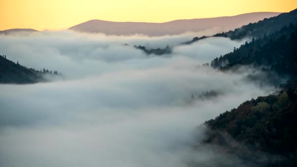 안개낀 산 속에서 아름다운 일출을 맞이하며. 이른 아침푸른 산에 안개가 자욱하게 피어 오르고 있다. 4k, Uhd — 비디오