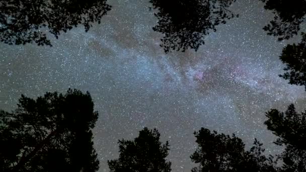 Timelapse di stelle in movimento e galassia della Via Lattea nel cielo notturno. UHD, 4K — Video Stock