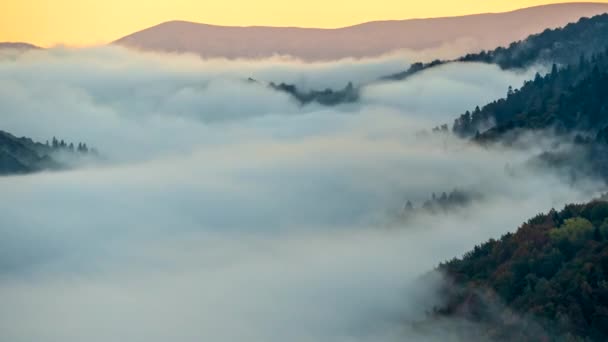 Beautiful sunrise in foggy mountains. Timelapse of running mist in green mountains early in the morning. 4K, UHD — Stock Video